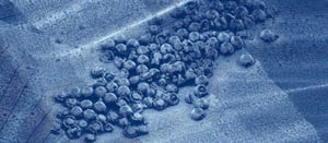 Sonarbild zur Identifizierung von Kampfmitteln im Wasser durch EGGERS Kampfmittelbergung